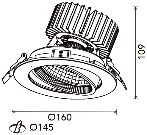 Lixero RN-R Richtbare Downlight