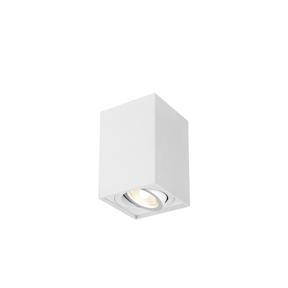 Richtbare Vierkante Opbouwspot - 45-BH04-00210