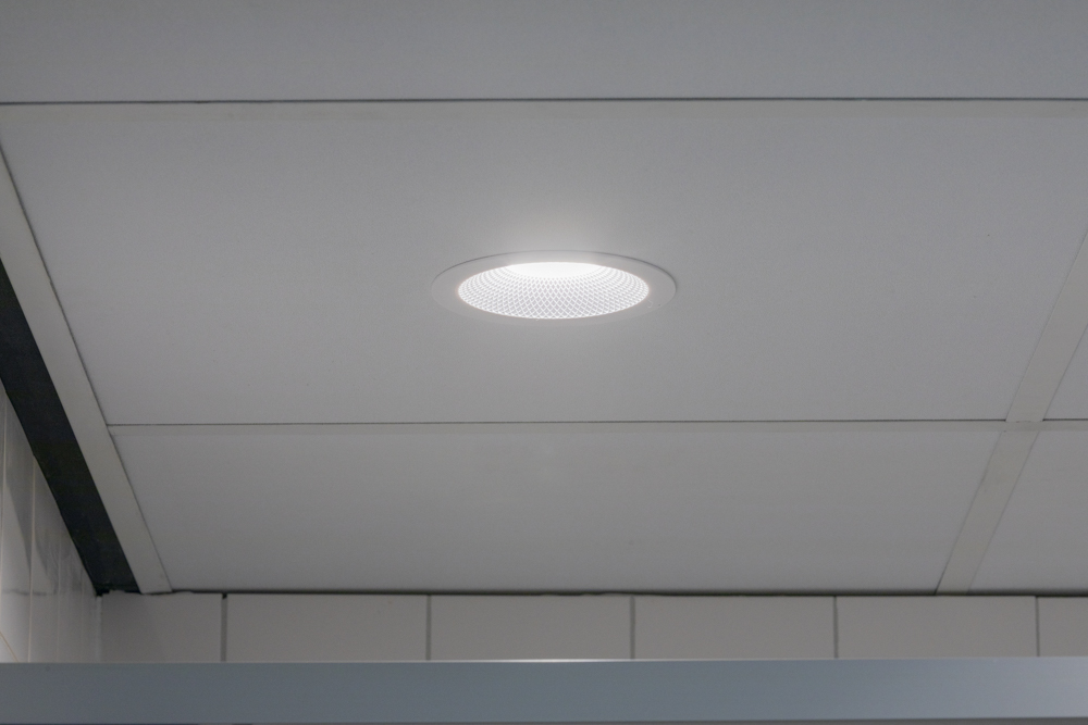 Yuugn Darwin XL Downlight